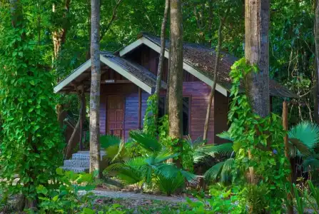 Khao Sok Riverside Cottage - 47