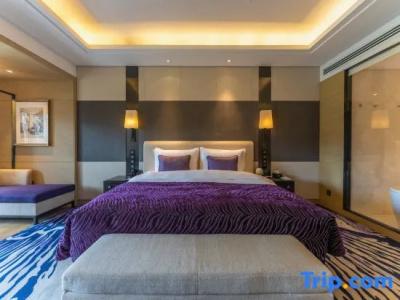 Radisson Blu Wuhan ETD Zone - 109