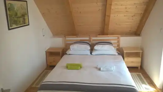 Guesthouse Bor - 50
