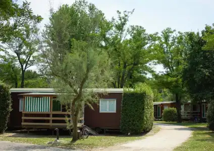Camping Capalonga - 36