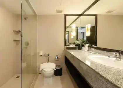 The Regent Cha am Beach Resort, Hua Hin - 9