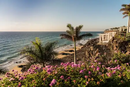 Royal Palm Resort & Spa - Adults Only - 16