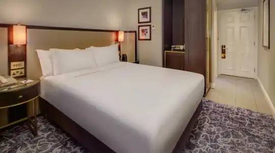 Hilton London Euston - 62