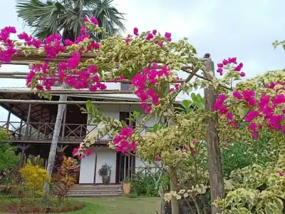 Domaine Desaubin Luxury Villas - 23