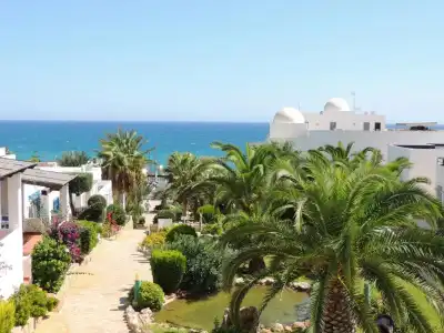 el Puntazo II - 24