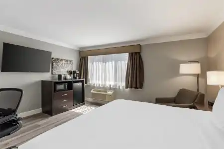 Best Western Plus LA Mid Town - 56