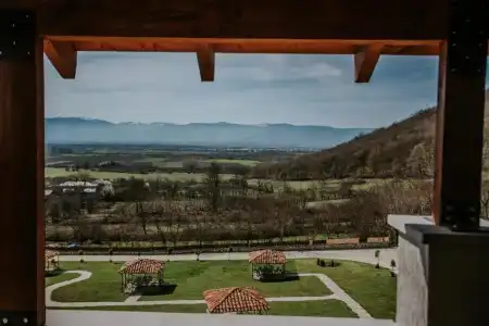 Babaneuris Marani - 41