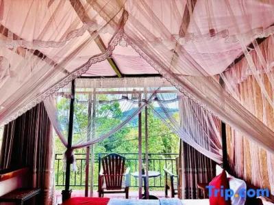 Nature Life Guest Inn - 48