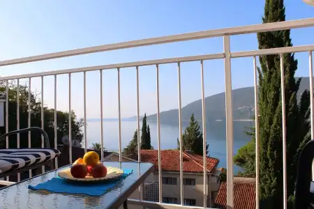 Guest House Tomanovic - 101