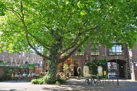 de Plataan Delft Centrum - 18