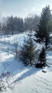 Orphey Bansko - 69