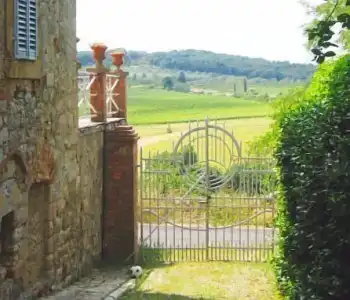 Fattoria San Donato - 23