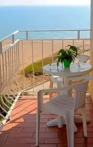 Rosa Nautica - 41