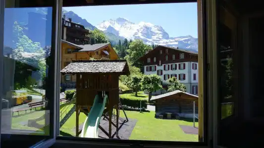 Alpenkräuter Bären - 83