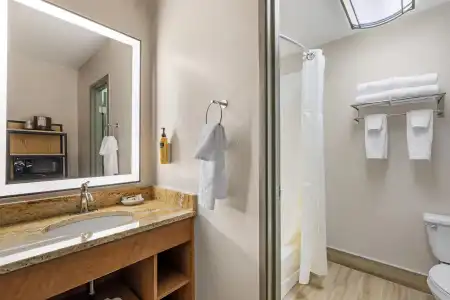 Best Western Plus GranTree Inn - 90