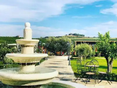 Vinea Resort & Spa - 34