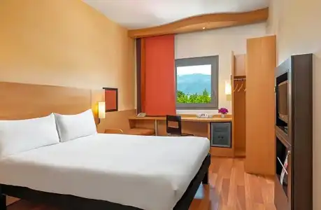 ibis Bursa - 47