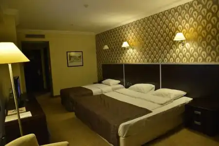216 Castle - 3