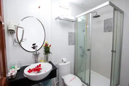 Hồng Hạc - 55