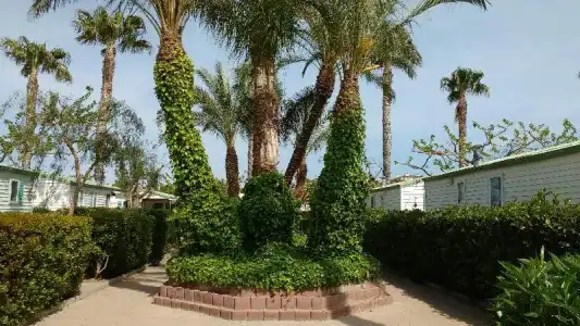 Camping Cambrils Playa - 63