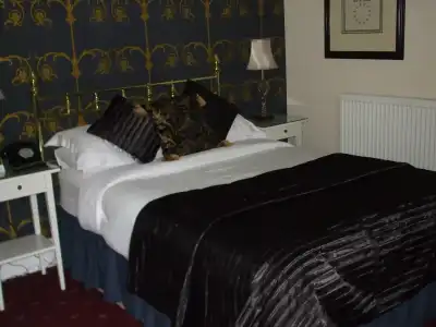 The Ascott - 15