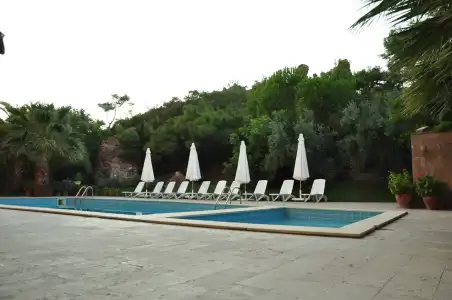 Palm Court Suites - 10