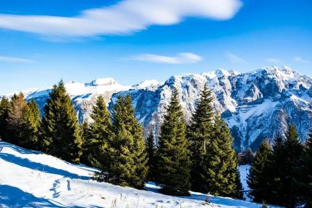 Armon Greenblu & Wellness - 16