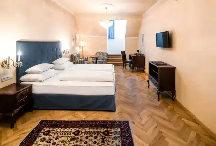 Erzherzog Johann Palais - 70