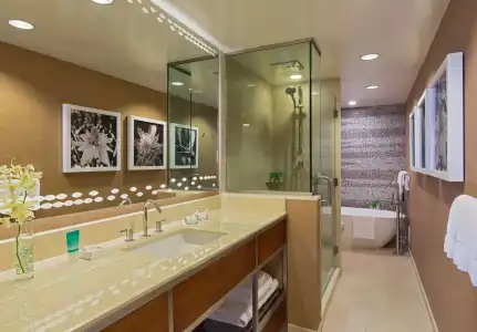 Hyatt Regency Maui Resort & Spa - 7
