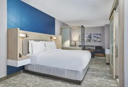 SpringHill Suites by Marriott Chicago Chinatown - 11