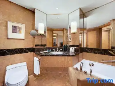 Hilton Chongqing - 102