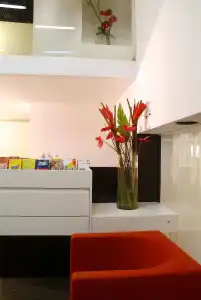 Alma Boutique - 1