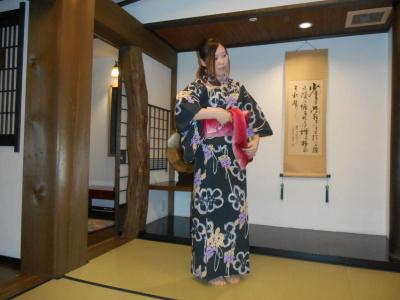 Sasara Gero Hot Springs - 24