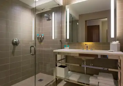 Hyatt Regency McCormick Place - 5