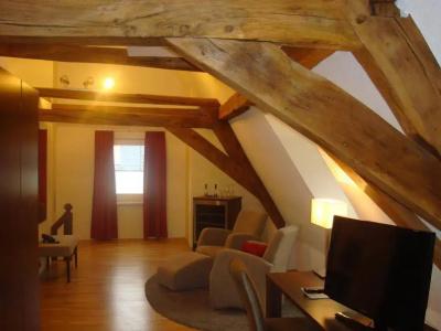 Boutique Villa Melsheimer - 3