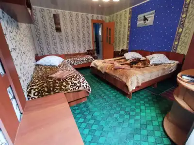 Petrovskaya Pristan 2 Guest House - 6
