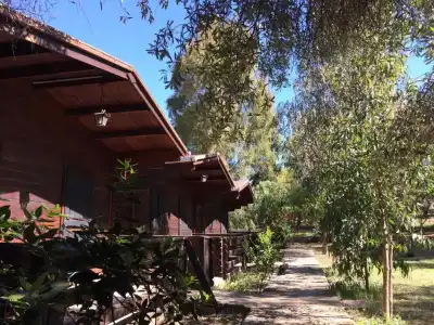 Camping Valle Dei Templi - 42