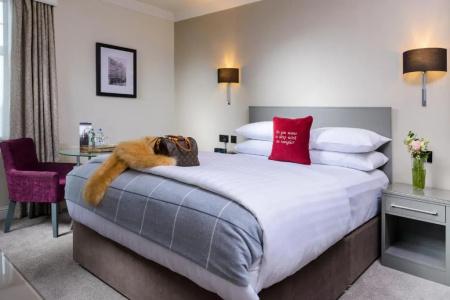 The Metropole - 27