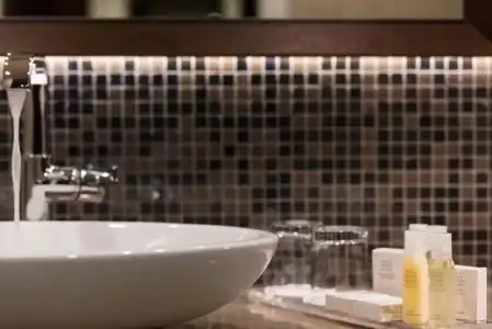 Crowne Plaza Bucharest by IHG - 49