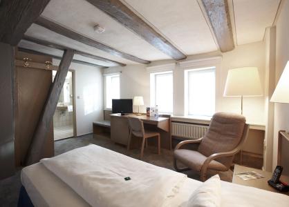 Hôtel Villa Raab - 1