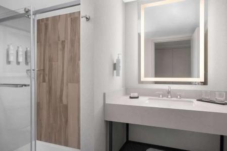 Embassy Suites by Hilton El Paso - 29