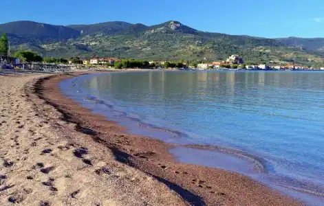 Panorama - 15
