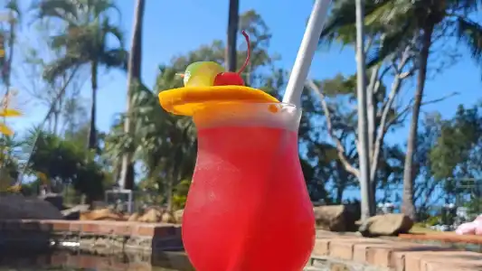 Best Western Colonial Palms Motor Inn - 18