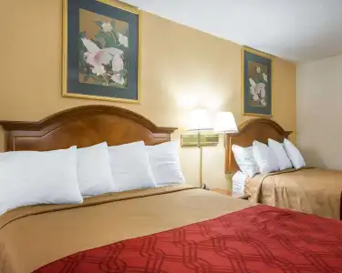 Econo Lodge Inn & Suites Macon West - 6