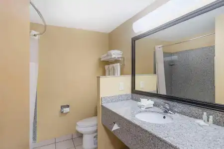 Quality Inn & Suites Bloomington University Area - 7