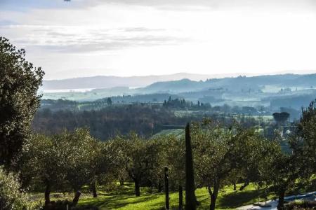 Poggio Piglia - 14