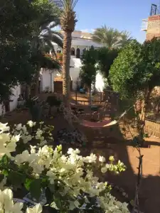 Sunrise Dahab Lodge - 7