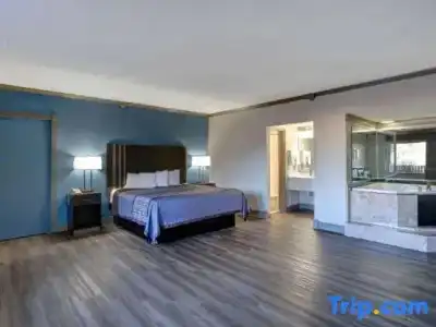Toyoko Inn JR Wakayama Station Higashi - 105