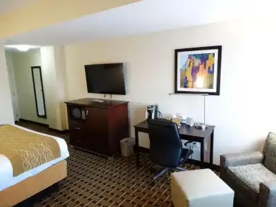 Comfort Inn & Suites - 40