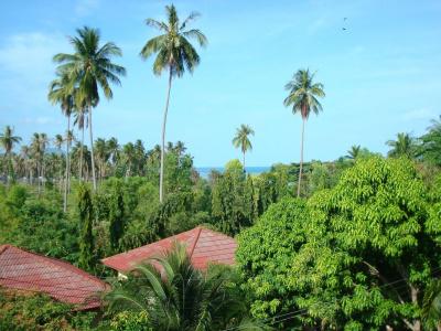 Samui Natien Village - 18